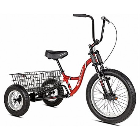 Adult Sized Tricycle 63