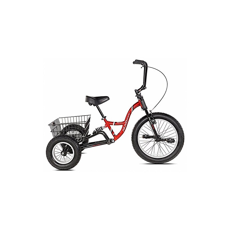 Adult Sized Tricycle 53