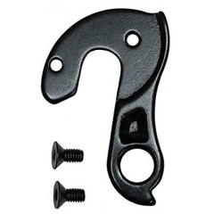 Derailleur Hanger 250