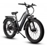 Dirwin Pioneer Step-Thru Fat Tire Electric Bike