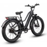 Dirwin Pioneer Step-Thru Fat Tire Electric Bike