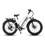 Dirwin Pioneer Step-Thru Fat Tire Electric Bike