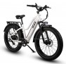 Dirwin Pioneer Step-Thru Fat Tire Electric Bike