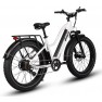 Dirwin Pioneer Step-Thru Fat Tire Electric Bike