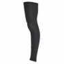 Evo Amqui Women's Thermal Leg Warmer