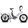 Lectric XPedition Cargo Electric Bike