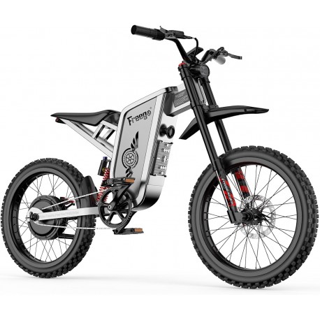 Freego X2 Pro Electric Dirt Bike