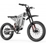 Freego X2 Pro Electric Dirt Bike